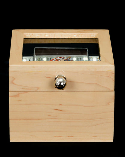 Mike Trout Baseball Authenticated Masterpieces Game-Used, Autographed Baseball